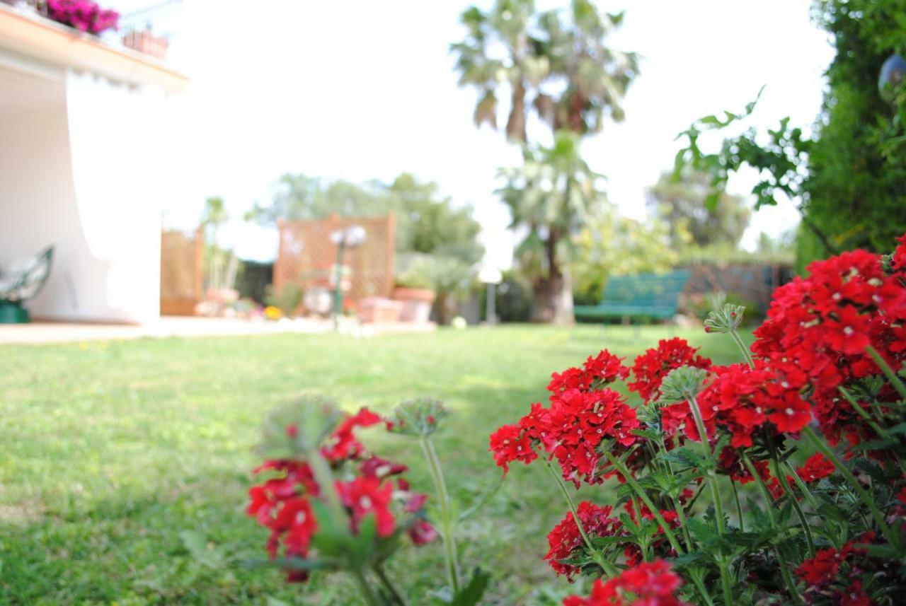 Villa Regina B&B Νετούνο Εξωτερικό φωτογραφία